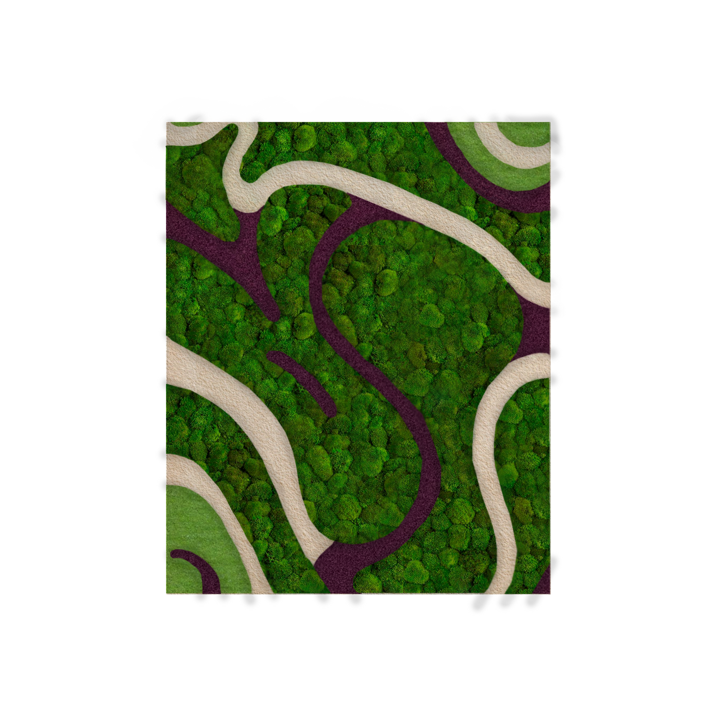 Ribbons of Moss