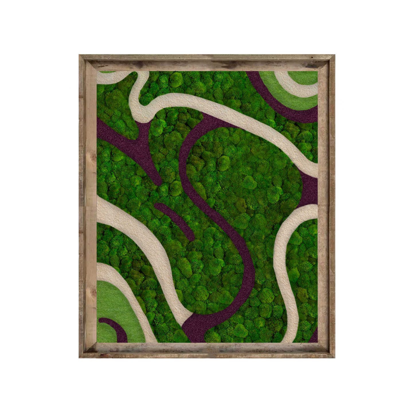 Ribbons of Moss