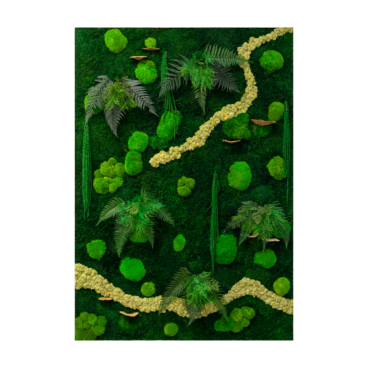 Jungle Canopy