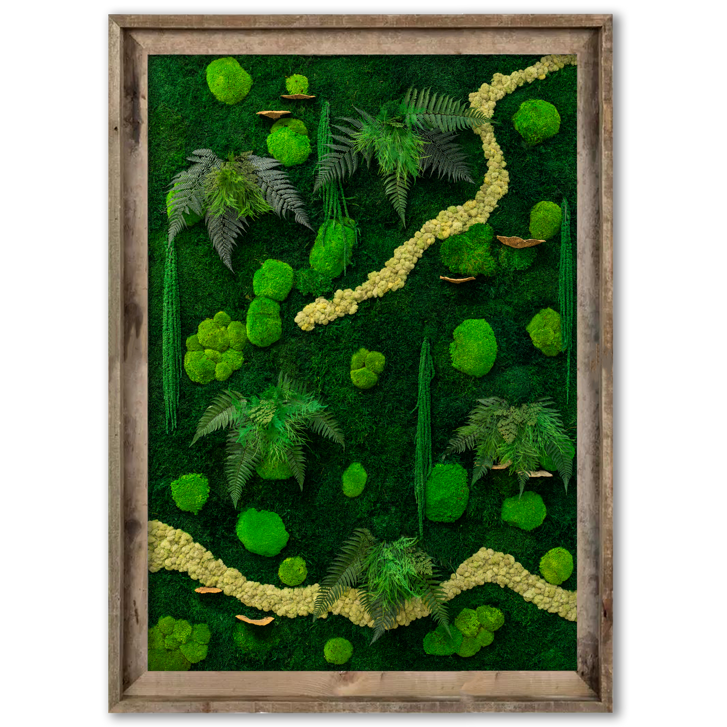 Jungle Canopy