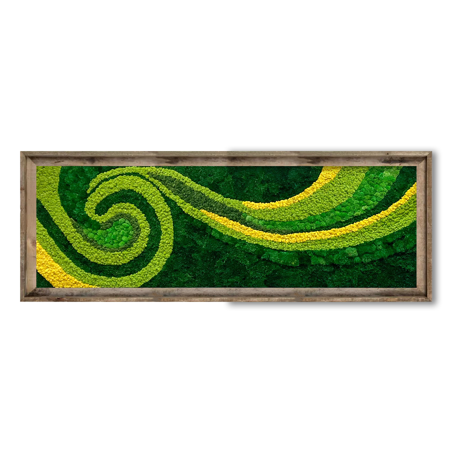 Spiral Grove