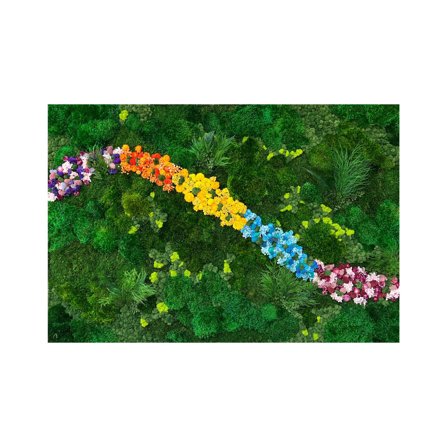 Flora Stream