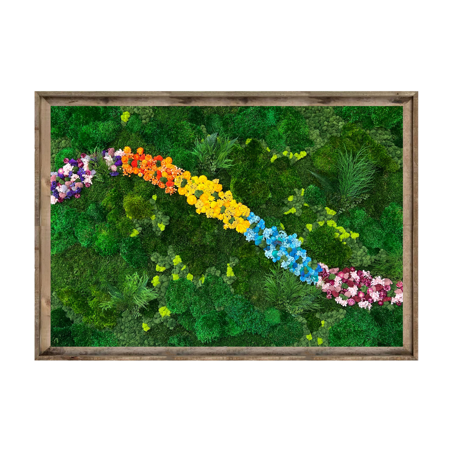 Flora Stream