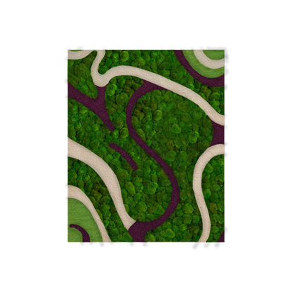 Ribbons of Moss