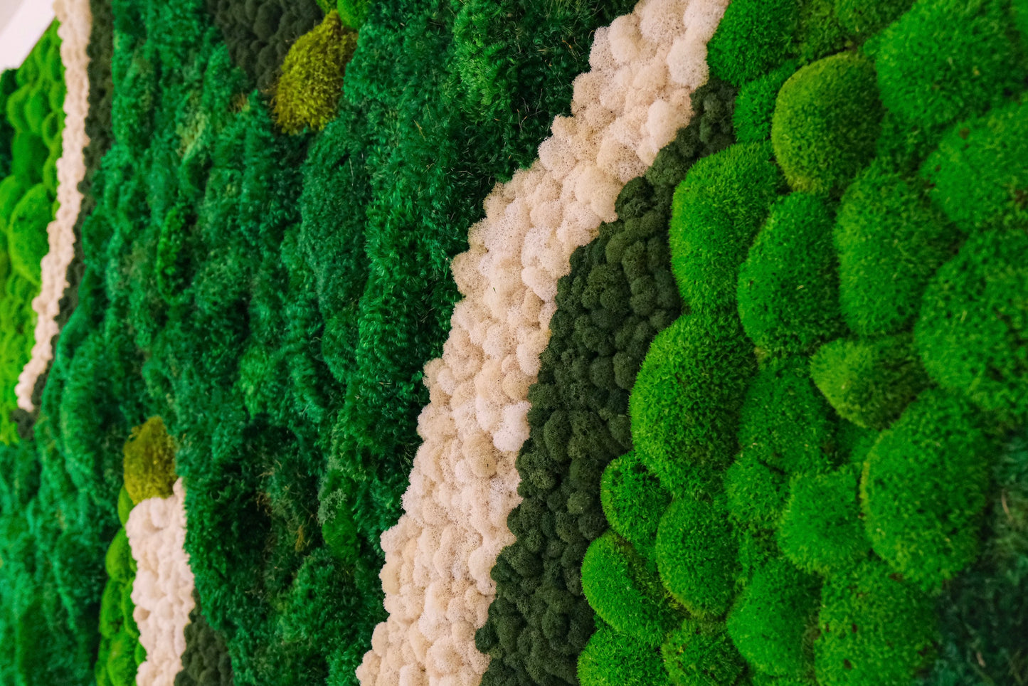 🌿 Modern art, crafted by nature "Green Terrace"